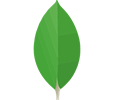 MongoDB